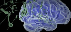 Le cerveau et la perception du son